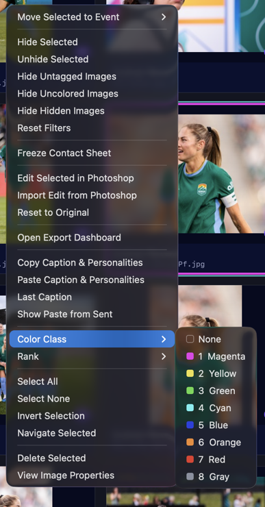 Colour Class submenu showing eight numbered colour swatches