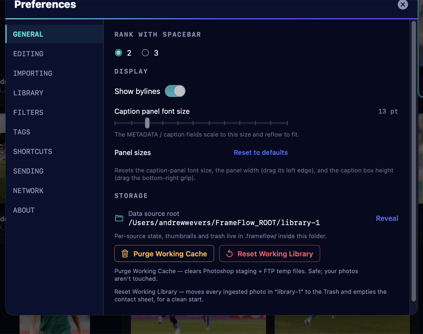 Preferences General pane with rank, display, panel sizes and storage options